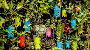 Imagem de um projeto STEM - jardim vertical de plantas utilizando sucata e materiais recicláveis em sua estrutura.