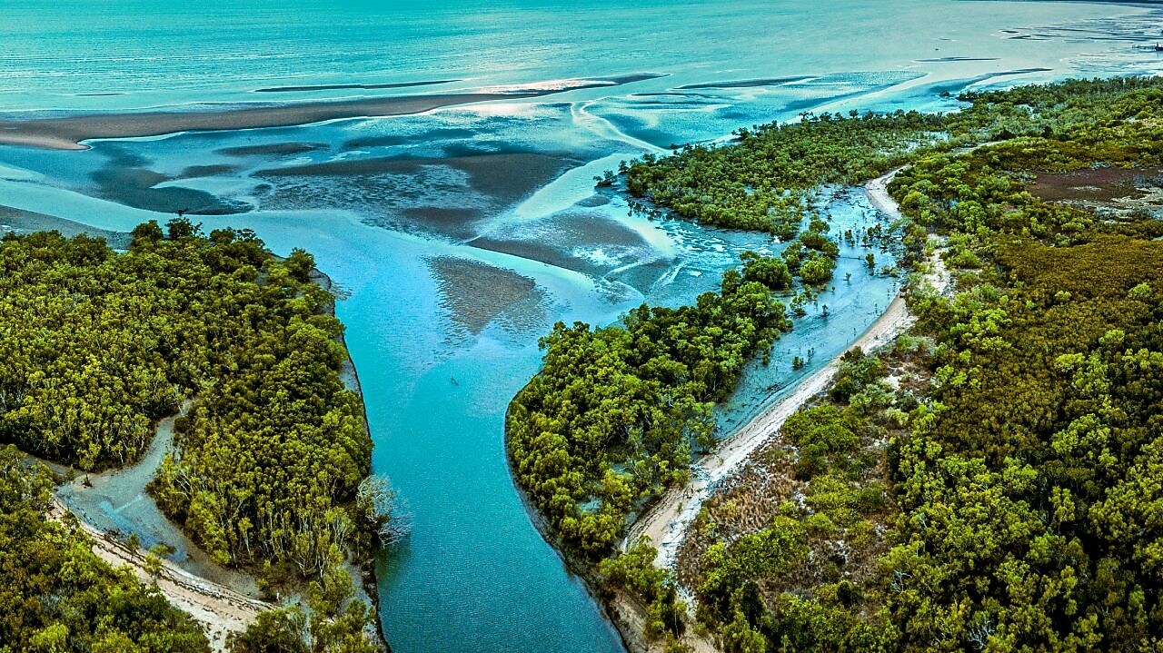 Imagem aérea de um manguezal.