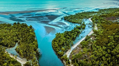 Imagem aérea de um manguezal.