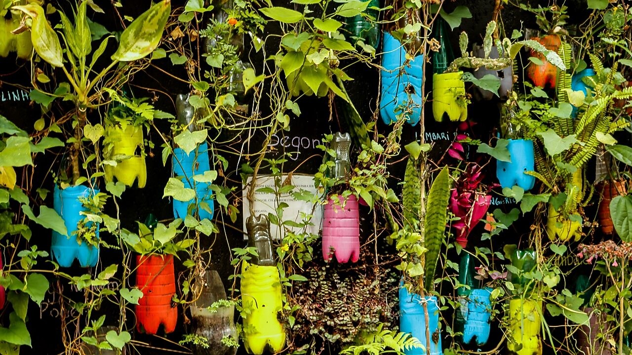 Imagem de um projeto STEM - jardim vertical de plantas utilizando sucata e materiais recicláveis em sua estrutura.