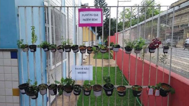 Imagem de um portão com diversas plantas organizadas. Na foto, vemos dois avisos, acima um com o fundo rosa escrito “plantas que fazem bem!” e o outro pede “favor não mexer!”.