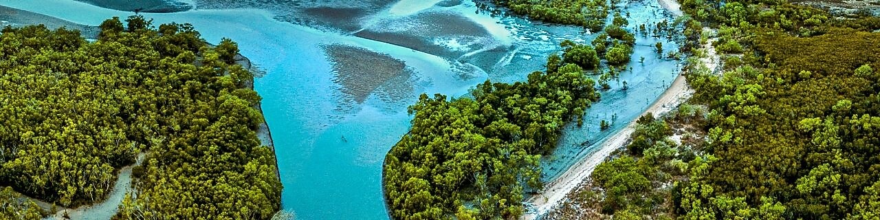 Imagem aérea de um manguezal.