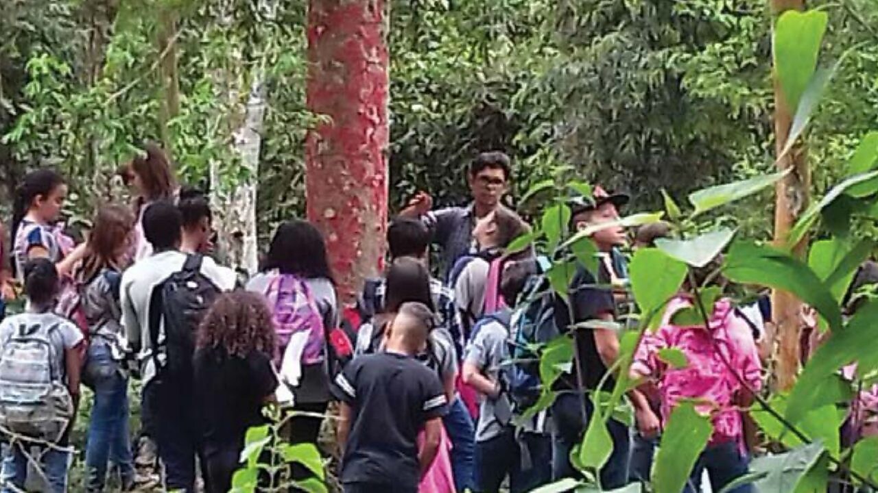 Na imagem vemos um grupo de alunos em um campo com diversas plantas. Ao centro da foto, vemos um tronco de árvore avermelhado e o professor ao lado.
