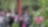 Na imagem vemos um grupo de alunos em um campo com diversas plantas. Ao centro da foto, vemos um tronco de árvore avermelhado e o professor ao lado.