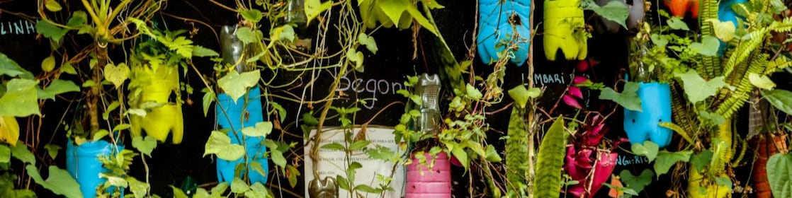 Imagem de um projeto STEM - jardim vertical de plantas utilizando sucata e materiais recicláveis em sua estrutura.