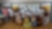 A imagem mostra o grupo de alunos e professores um ambiente interno que parece ser uma sala de aula. O local está bem iluminado e, no fundo da sala, há banners pendurados na parede.